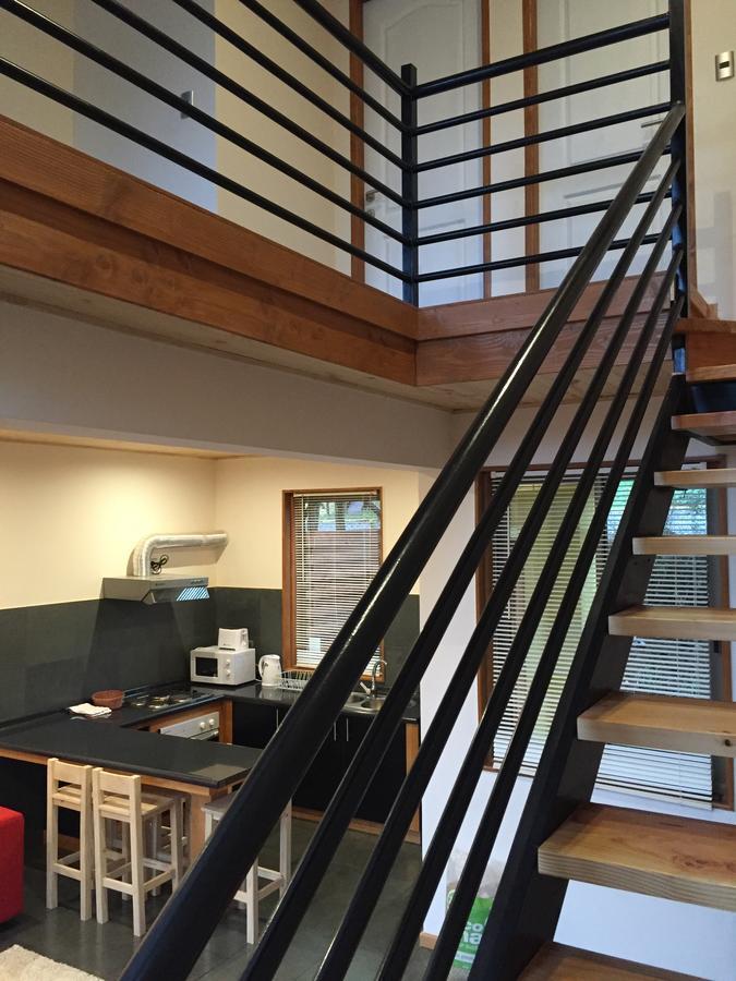 Aparthotel Loft Pucón Exteriér fotografie